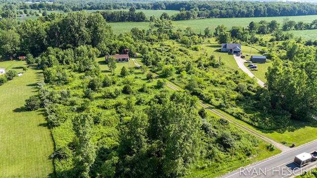 5886 W Clarksville Rd, Lake Odessa, MI 48849 - overview of rural landscape