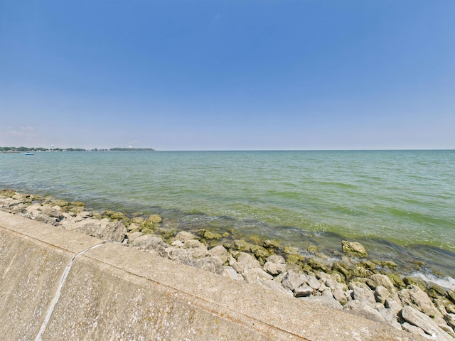 4356 14th St, Luna Pier, MI 48157 - water view