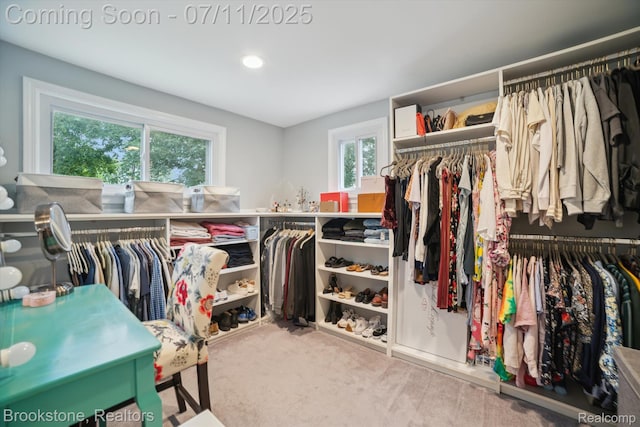 129 S Edgeworth Ave, Royal Oak, MI 48067 - photo 32