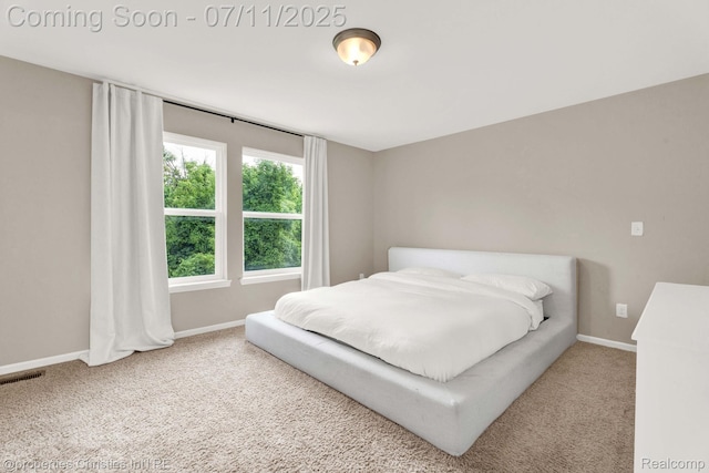 2962 Iowa Dr, Troy, MI 48083 - bedroom featuring carpet flooring
