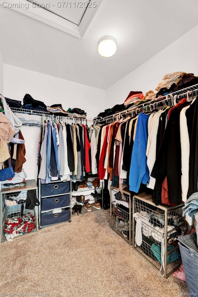 2962 Iowa Dr, Troy, MI 48083 - walk in closet featuring carpet flooring