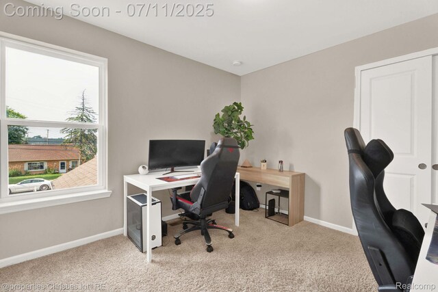 2962 Iowa Dr, Troy, MI 48083 - office space with carpet floors and baseboards