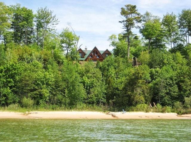 4231 Wildwood Ln, Moran, MI 49760 - water view