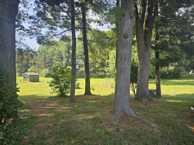 22460 Klines Resort Lot 117, Three Rivers, MI 49093 - view of grassy yard with a storage shed