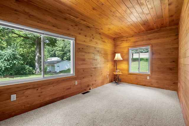 22100 N Uldriks Dr, Battle Creek, MI 49017 - carpeted empty room featuring wood walls and wooden ceiling