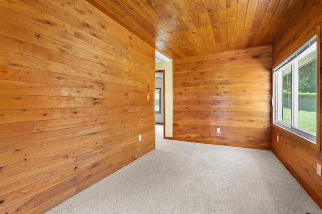 22100 N Uldriks Dr, Battle Creek, MI 49017 - carpeted spare room featuring wooden walls and wood ceiling