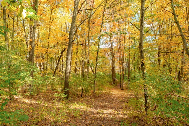 22100 N Uldriks Dr, Battle Creek, MI 49017 - view of woods