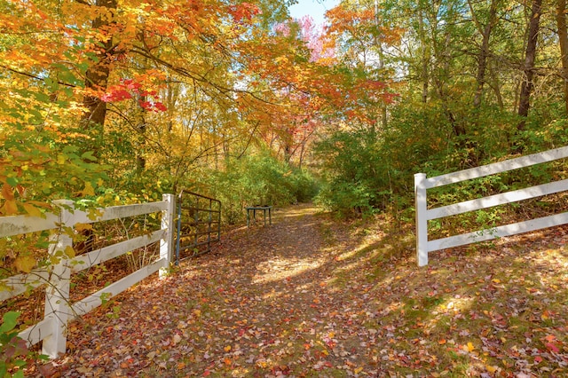 22100 N Uldriks Dr, Battle Creek, MI 49017 - gate featuring a wooded view