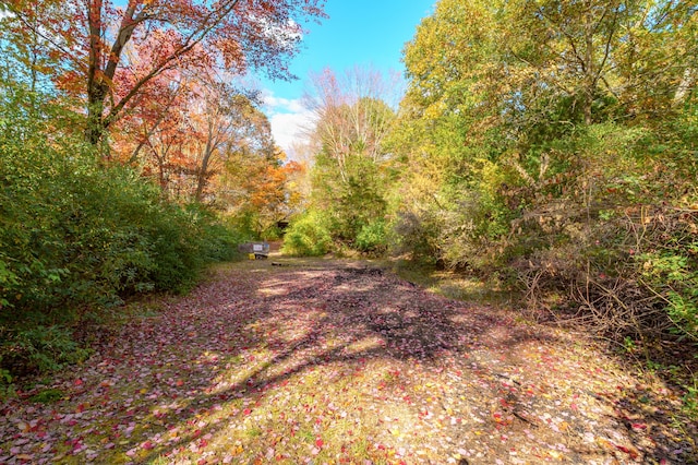 22100 N Uldriks Dr, Battle Creek, MI 49017 - view of yard with a forest view