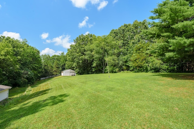 22100 N Uldriks Dr, Battle Creek, MI 49017 - view of yard featuring a storage unit and a forest view