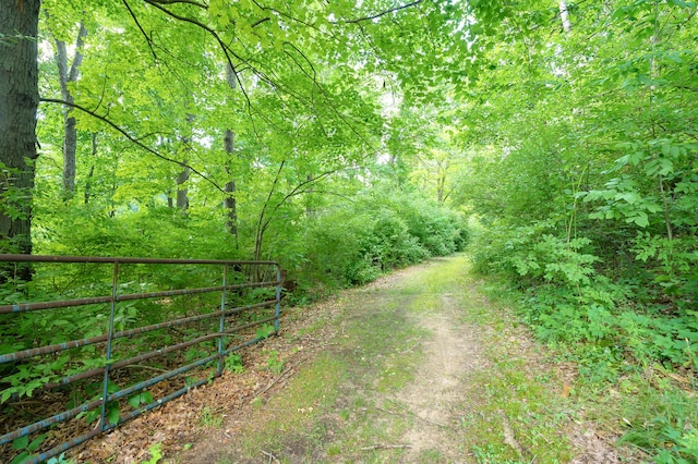 22100 N Uldriks Dr, Battle Creek, MI 49017 - view of dirt / gravel road with a forest view and a gate