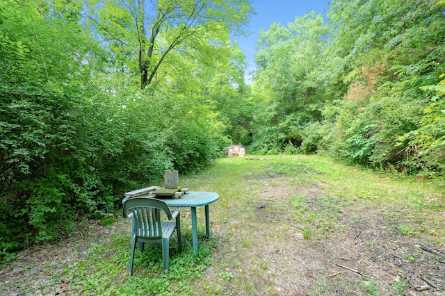 22100 N Uldriks Dr, Battle Creek, MI 49017 - view of yard with a view of trees