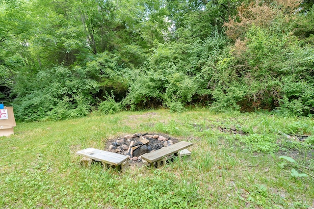22100 N Uldriks Dr, Battle Creek, MI 49017 - view of yard with an outdoor fire pit