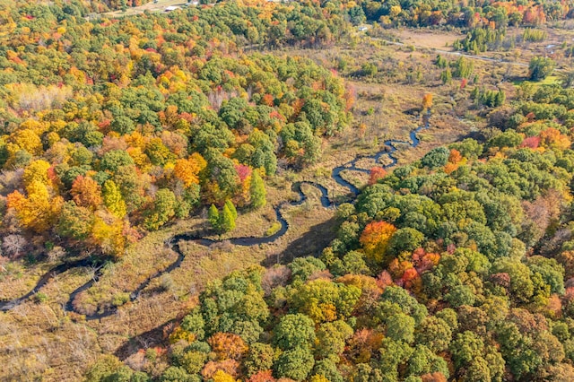 22100 N Uldriks Dr, Battle Creek, MI 49017 - aerial view of a forest