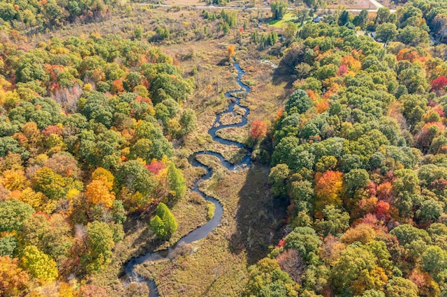 22100 N Uldriks Dr, Battle Creek, MI 49017 - drone / aerial view of a heavily wooded area