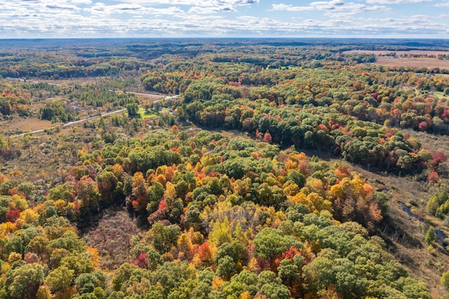 22100 N Uldriks Dr, Battle Creek, MI 49017 - drone / aerial view of a forest