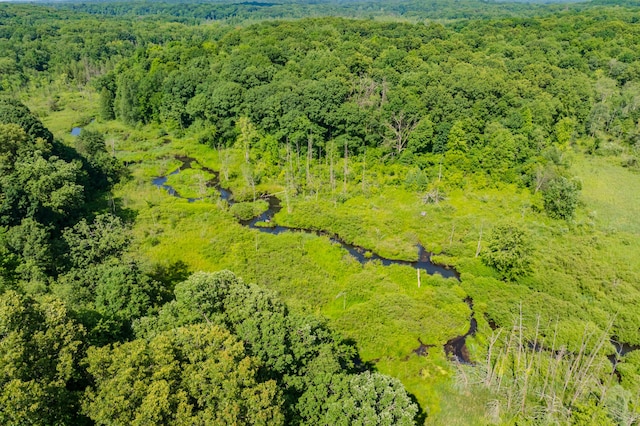 22100 N Uldriks Dr, Battle Creek, MI 49017 - bird's eye view of a forest
