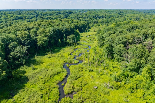 22100 N Uldriks Dr, Battle Creek, MI 49017 - bird's eye view of a heavily wooded area
