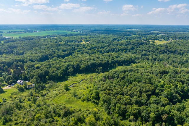 22100 N Uldriks Dr, Battle Creek, MI 49017 - drone / aerial view of a forest