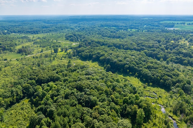 22100 N Uldriks Dr, Battle Creek, MI 49017 - aerial view of a heavily wooded area