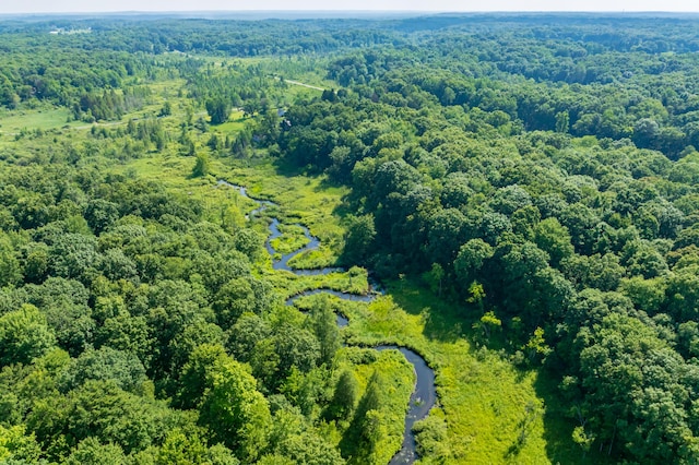 22100 N Uldriks Dr, Battle Creek, MI 49017 - bird's eye view of a heavily wooded area
