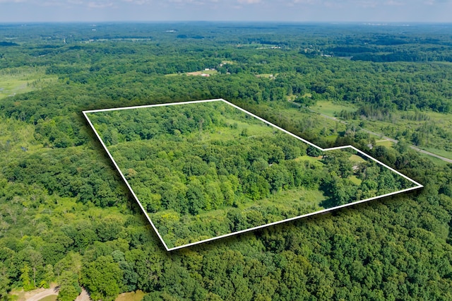 22100 N Uldriks Dr, Battle Creek, MI 49017 - aerial overview of property's location featuring a forest and property boundaries highlighted