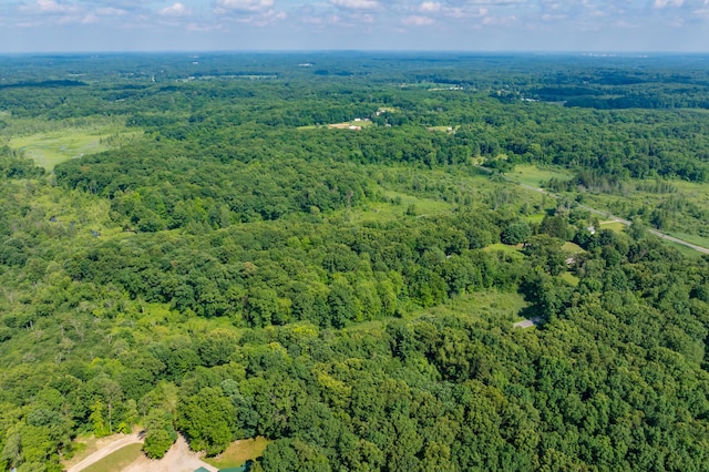 22100 N Uldriks Dr, Battle Creek, MI 49017 - view of property location with a heavily wooded area