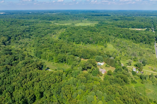 22100 N Uldriks Dr, Battle Creek, MI 49017 - aerial view of a forest