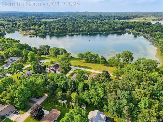 10746 Winthrop, Pinckney, MI 48169 - aerial view of property's location featuring a nearby body of water and a heavily wooded area