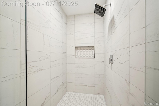 10746 Winthrop, Pinckney, MI 48169 - bathroom with tiled shower