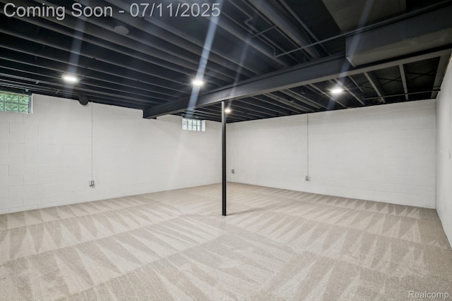 10746 Winthrop, Pinckney, MI 48169 - below grade area with carpet floors
