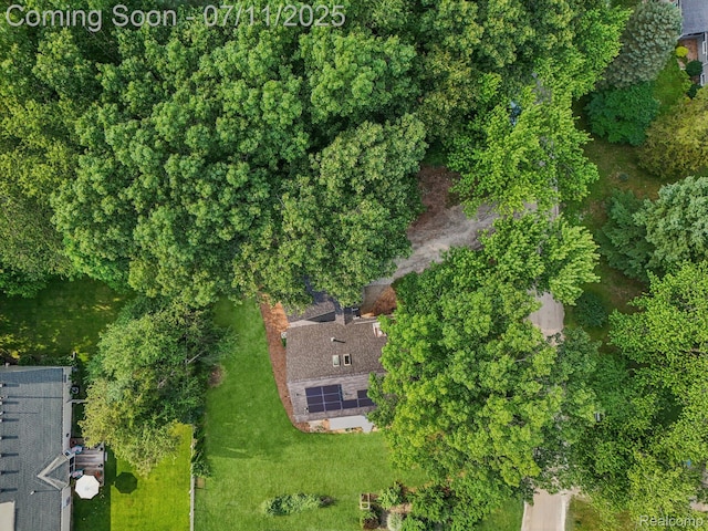 10746 Winthrop, Pinckney, MI 48169 - bird's eye view