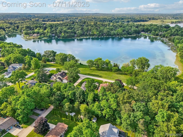 10746 Winthrop, Pinckney, MI 48169 - aerial view of property's location with a nearby body of water and a forest