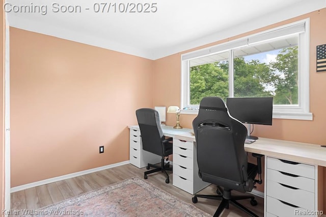 9157 Hackberry Ave, Plymouth, MI 48170 - office featuring light wood-style floors and plenty of natural light