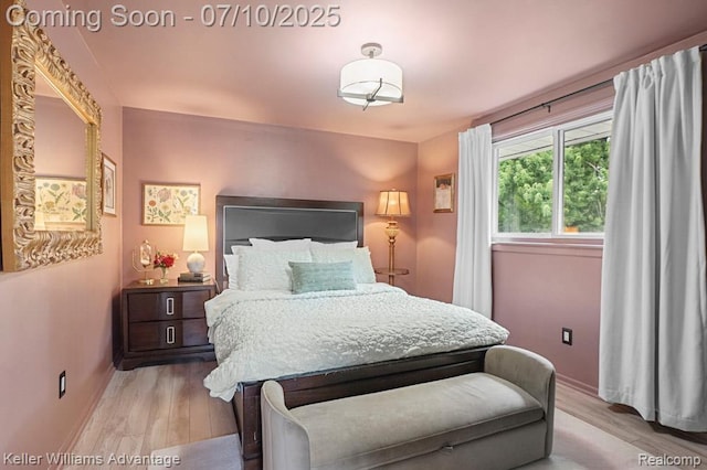 9157 Hackberry Ave, Plymouth, MI 48170 - bedroom with wood finished floors and baseboards