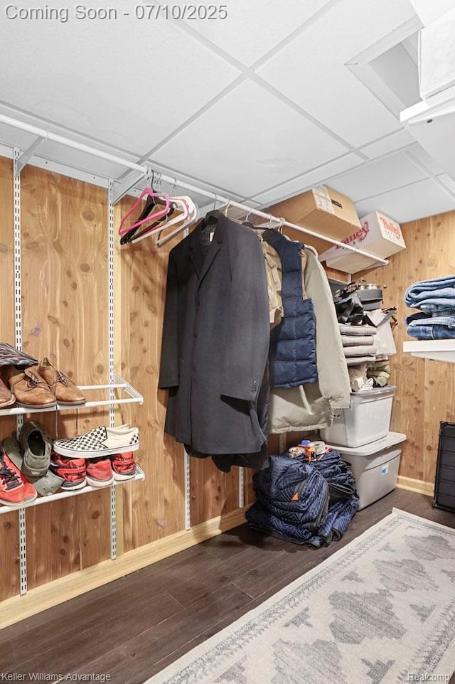 9157 Hackberry Ave, Plymouth, MI 48170 - spacious closet with wood finished floors