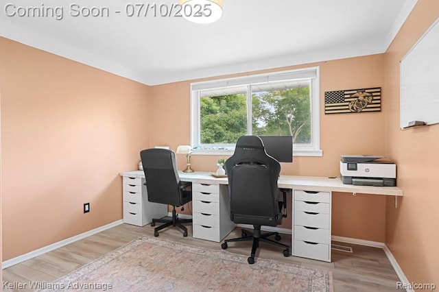 9157 Hackberry Ave, Plymouth, MI 48170 - office space featuring light wood-style flooring and baseboards