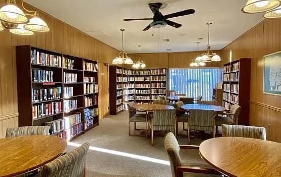 18220 University Park Dr, Livonia, MI 48152 - sitting room with wall of books, wood walls, carpet, ceiling fan, and a chandelier