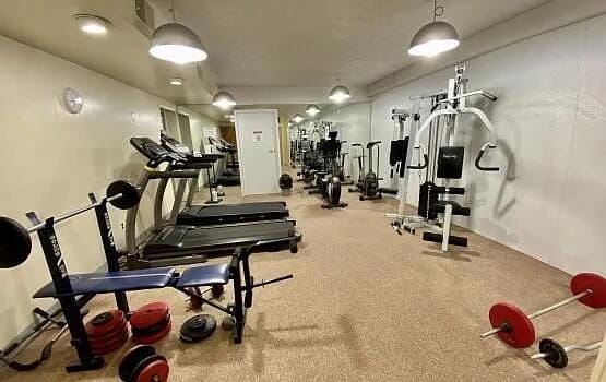 18220 University Park Dr, Livonia, MI 48152 - view of workout area