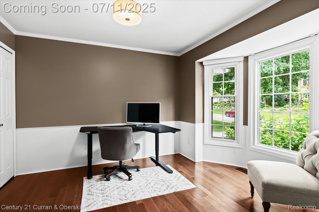 42369 Crestview Cir, Northville, MI 48168 - home office with crown molding, wainscoting, plenty of natural light, and wood finished floors