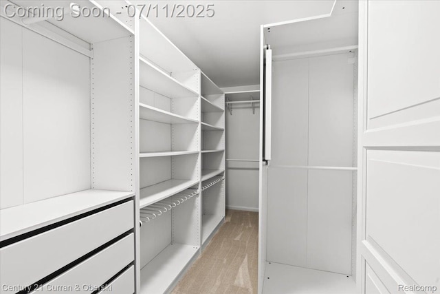 42369 Crestview Cir, Northville, MI 48168 - view of spacious closet