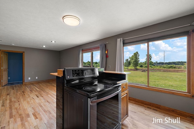 8201 Crocker Rd, Holton, MI 49425 - kitchen with stainless steel range with electric stovetop and light wood-style floors