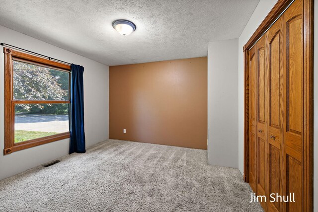 8201 Crocker Rd, Holton, MI 49425 - unfurnished bedroom with multiple windows, carpet, a textured ceiling, and a closet