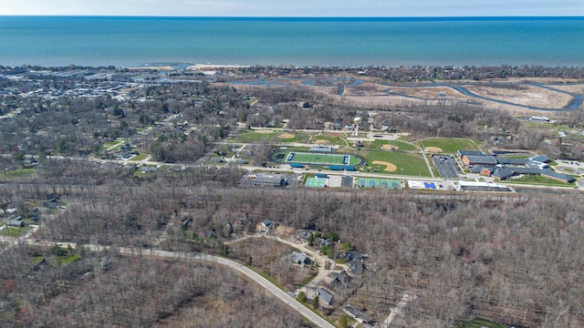 32 Walden Way, New Buffalo, MI 49117 - aerial view of property and surrounding area featuring a large body of water