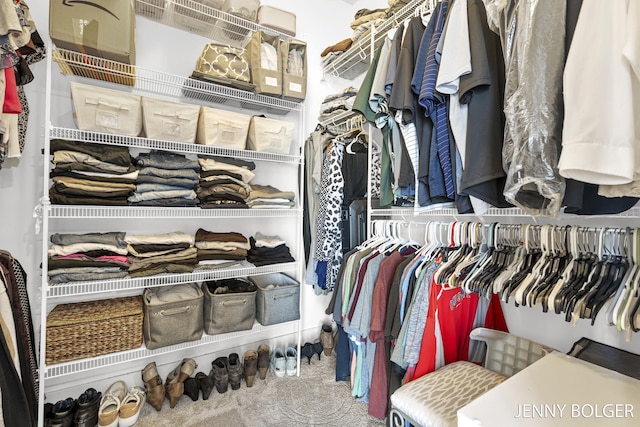 7066 Country Springs Dr SW, Byron Center, MI 49315 - walk in closet featuring carpet