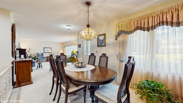 4731 Greenfield Dr, Berrien Springs, MI 49103 - photo 9