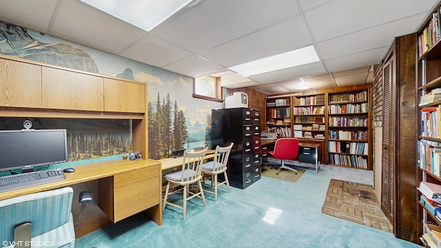 4731 Greenfield Dr, Berrien Springs, MI 49103 - photo 37