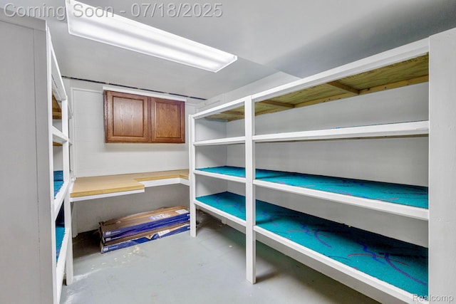 8400 Oak Shade Ct, Davison, MI 48423 - view of storage area