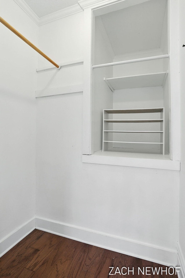 334 Washington Blvd, Holland, MI 49423 - walk in closet featuring dark wood-type flooring