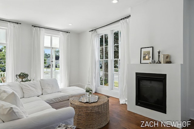 334 Washington Blvd, Holland, MI 49423 - living room featuring wood finished floors, recessed lighting, and a glass covered fireplace